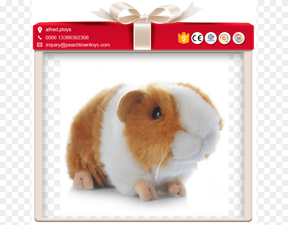 Lovely Fat Body Small Size Stuffed Guinea Pig Toy Teddy Bear Glow In The Dark, Animal, Mammal, Rodent, Bird Png Image