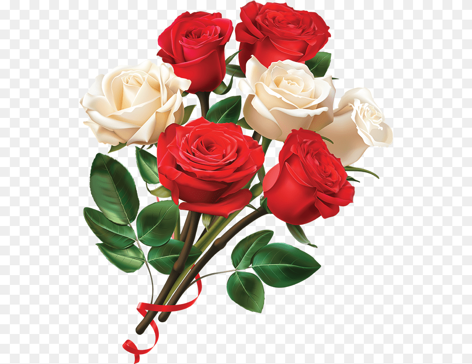 Lovely White Rose Transparent Images Free Download Rose Image Hd, Flower, Flower Arrangement, Flower Bouquet, Plant Png