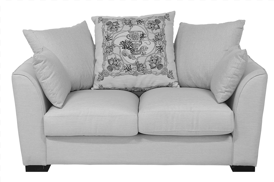 Loveseat, Couch, Cushion, Furniture, Home Decor Png Image