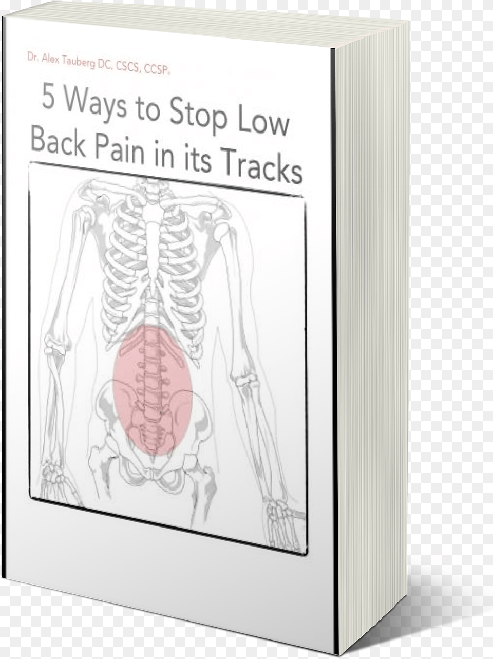Low Back Pain Ebook Illustration, Adult, Bride, Female, Person Free Png Download