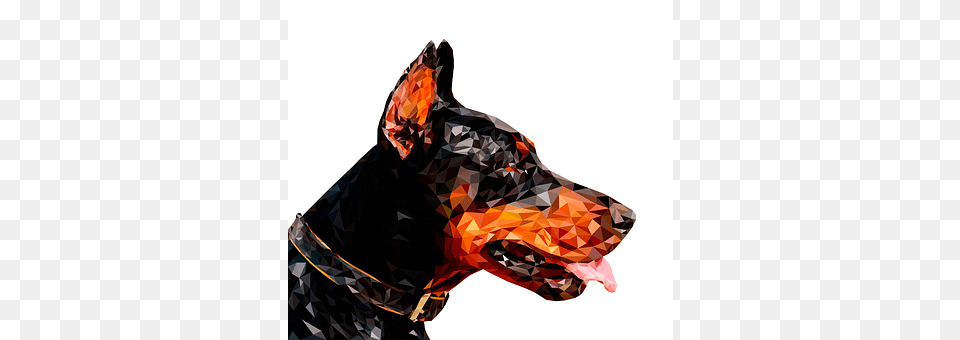 Low Poly Accessories, Animal, Canine, Mammal Free Transparent Png