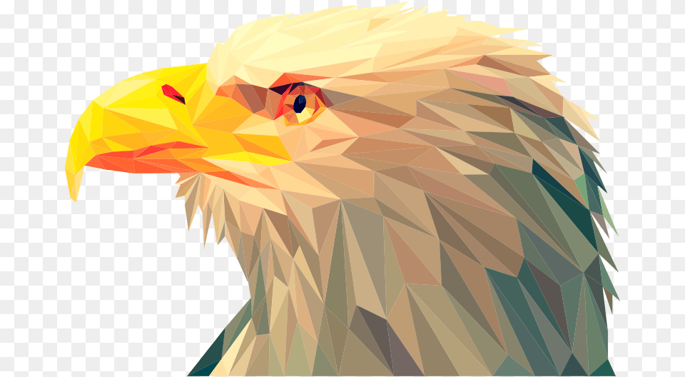 Low Poly Art Eagle, Animal, Beak, Bird, Person Free Png Download
