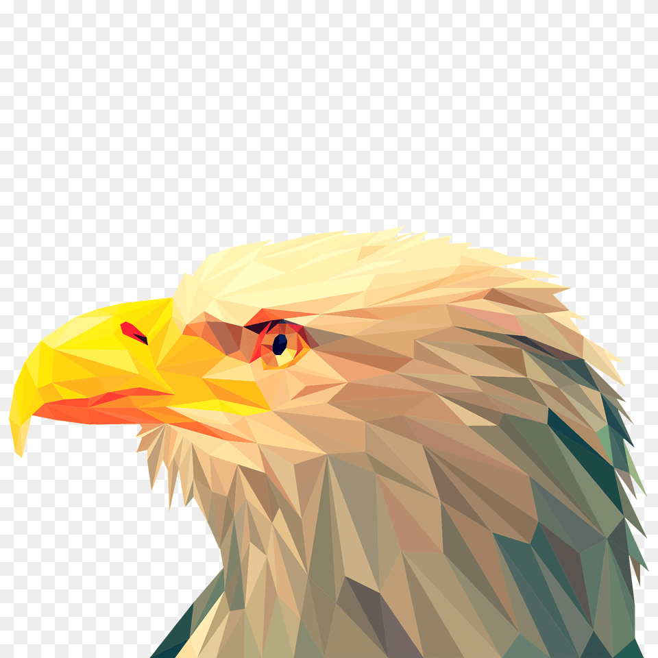 Low Poly Bald Eagle Clipart, Animal, Beak, Bird, Person Free Png Download