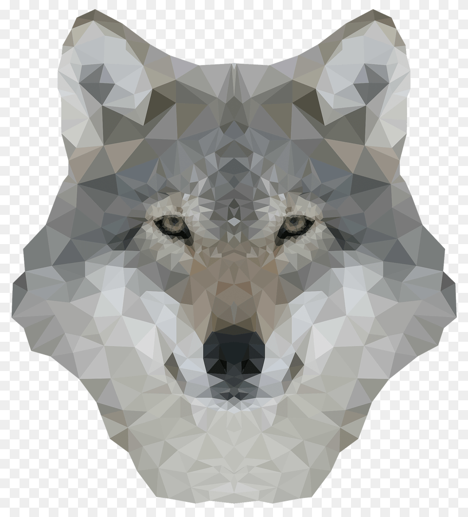 Low Poly Gray Wolf Clipart, Animal, Mammal, Person, Canine Free Png Download