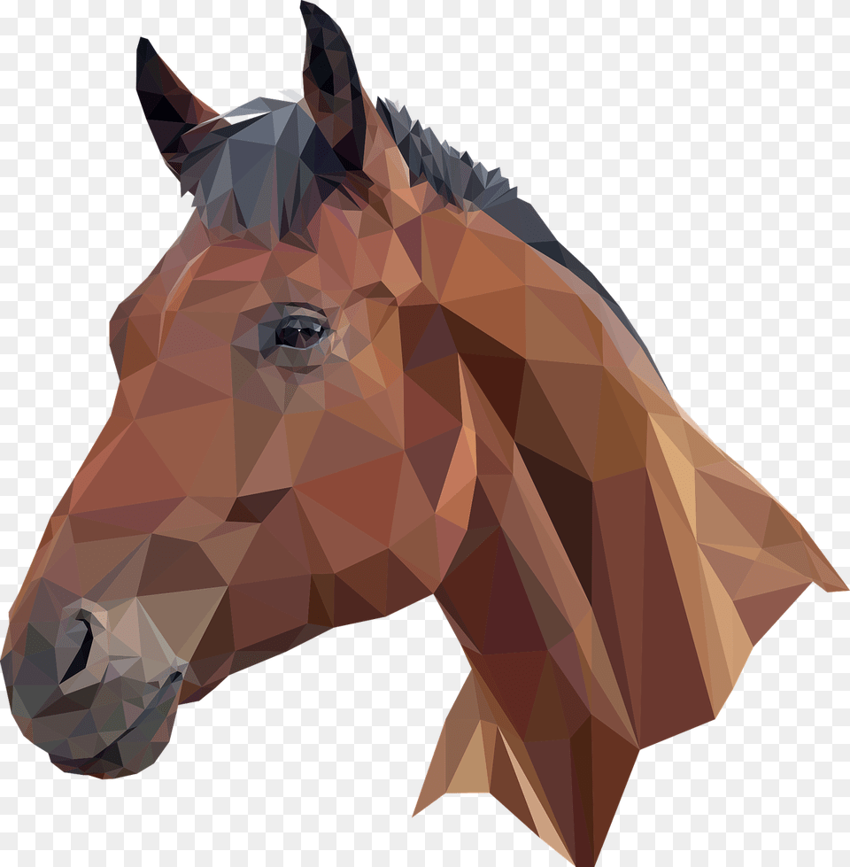 Low Poly Horse Head, Adult, Male, Man, Person Free Png Download