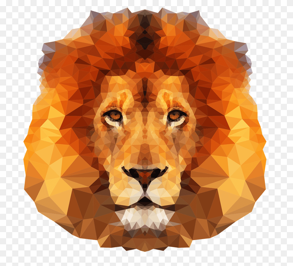 Low Poly Lion Face Clipart, Animal, Wildlife, Mammal, Wedding Free Png