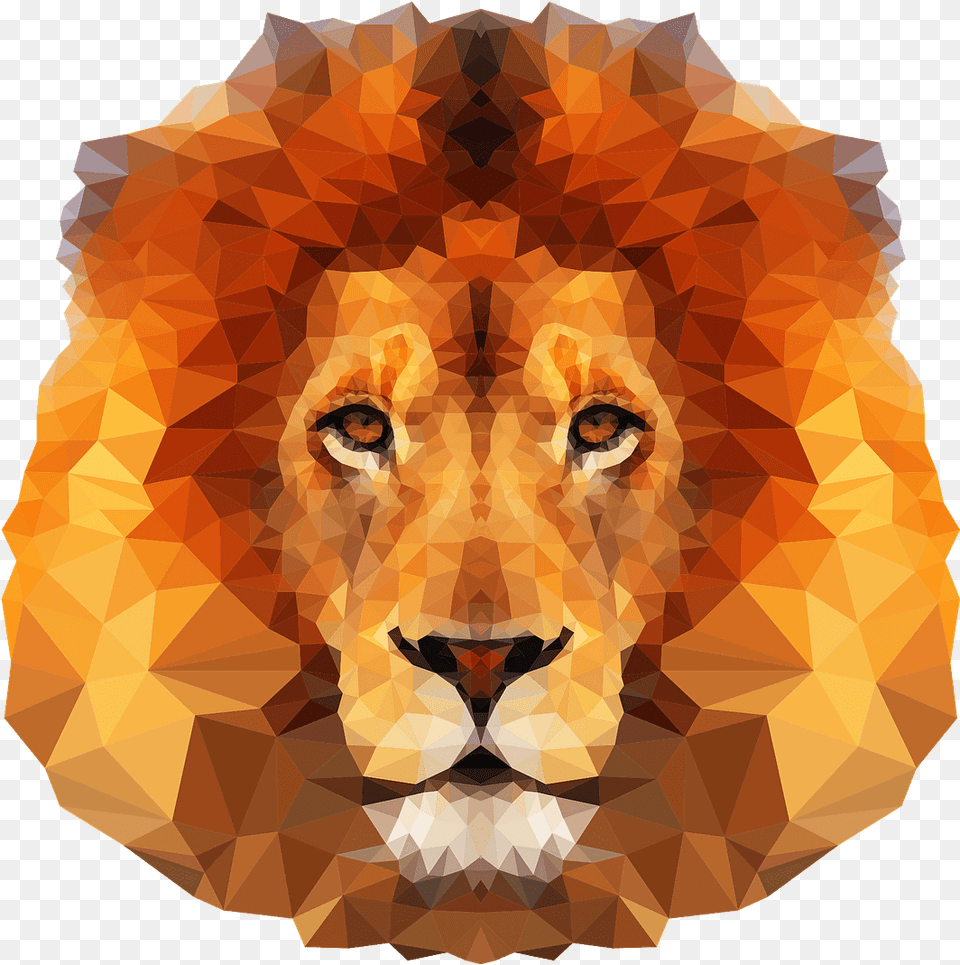 Low Poly Lion Head, Adult, Wildlife, Wedding, Person Free Transparent Png