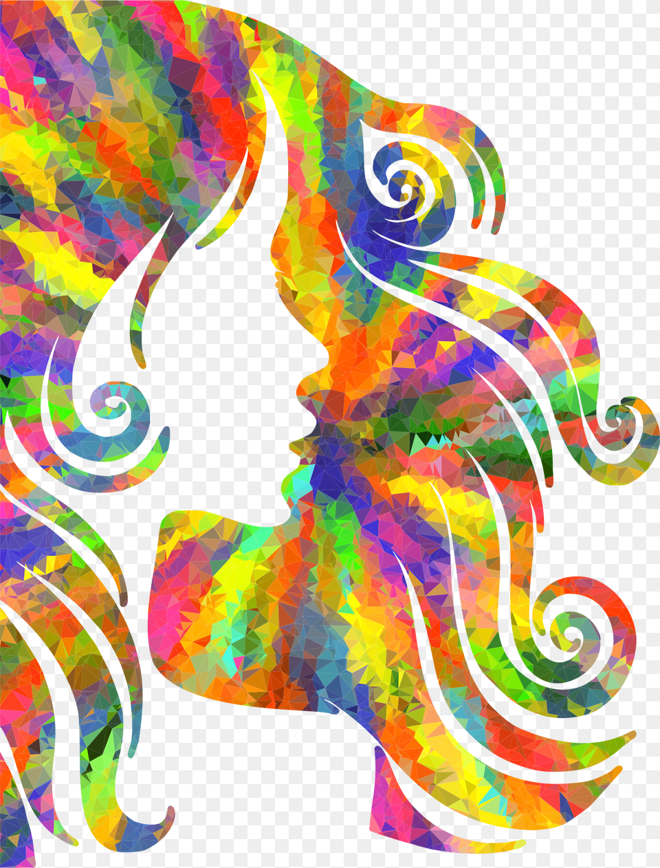 Low Poly Splash Of Color Female Hair Profile Silhouette Low Poly Splash Color, Graphics, Art, Modern Art, Pattern Free Png Download