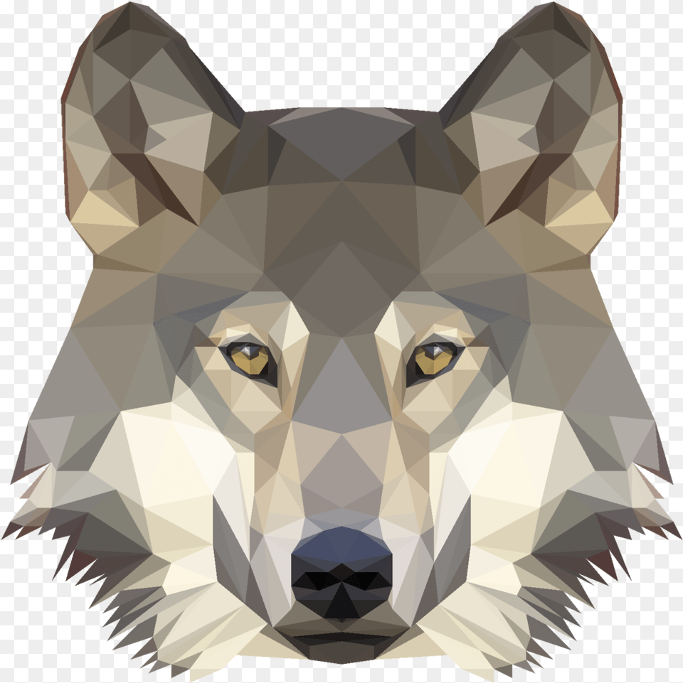 Low Poly Wolf By Naralyn D99l8bw Cool Wolf Low Poly, Animal, Mammal, Canine, Person Free Png