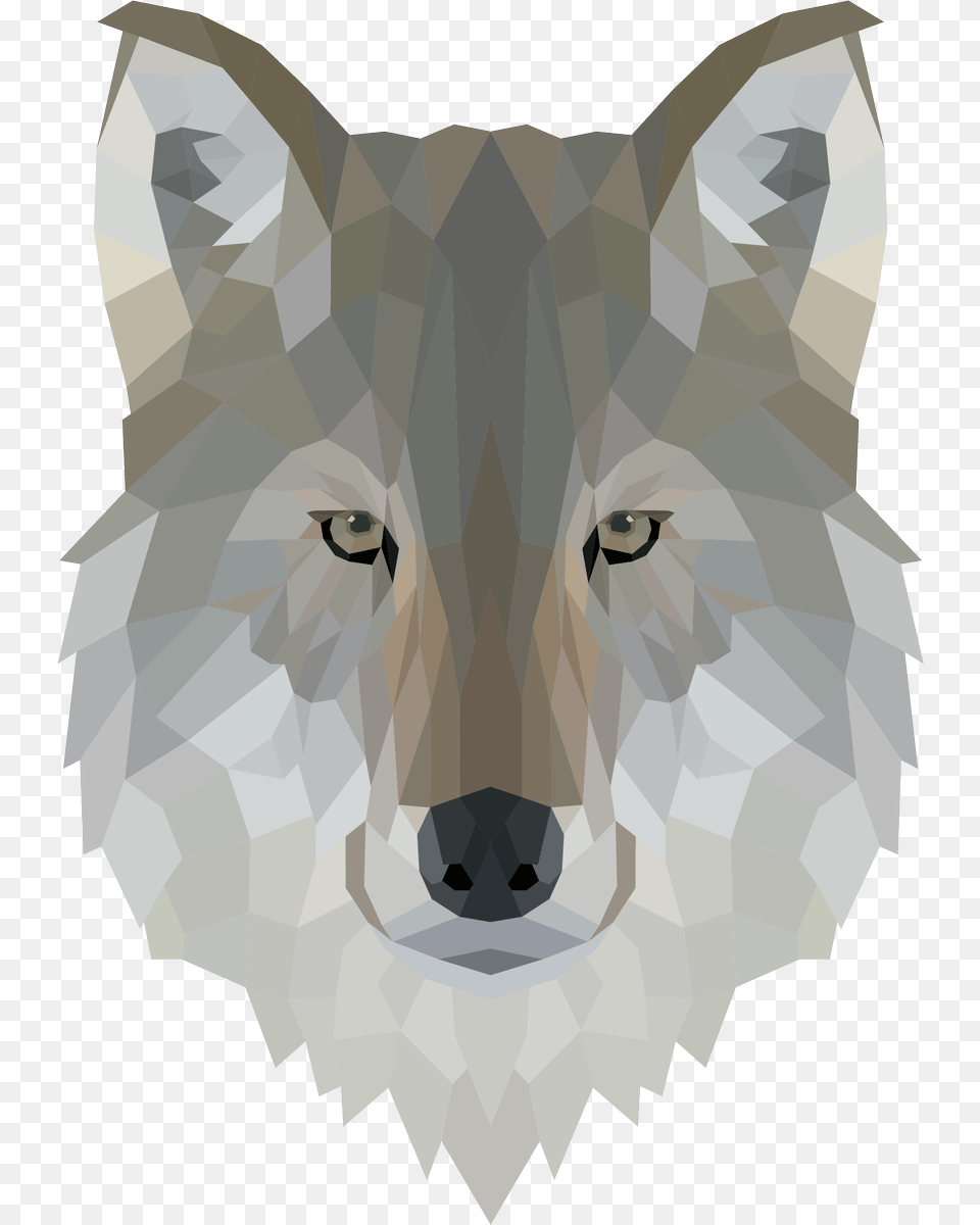 Low Poly Wolf Head, Animal, Mammal, Canine, Red Wolf Free Transparent Png