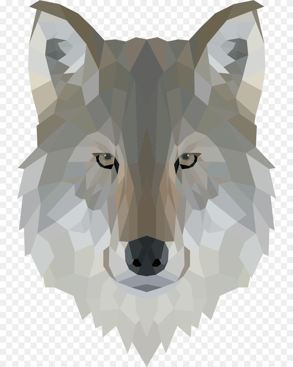 Low Poly Wolf Head, Animal, Mammal, Canine, Red Wolf Free Png