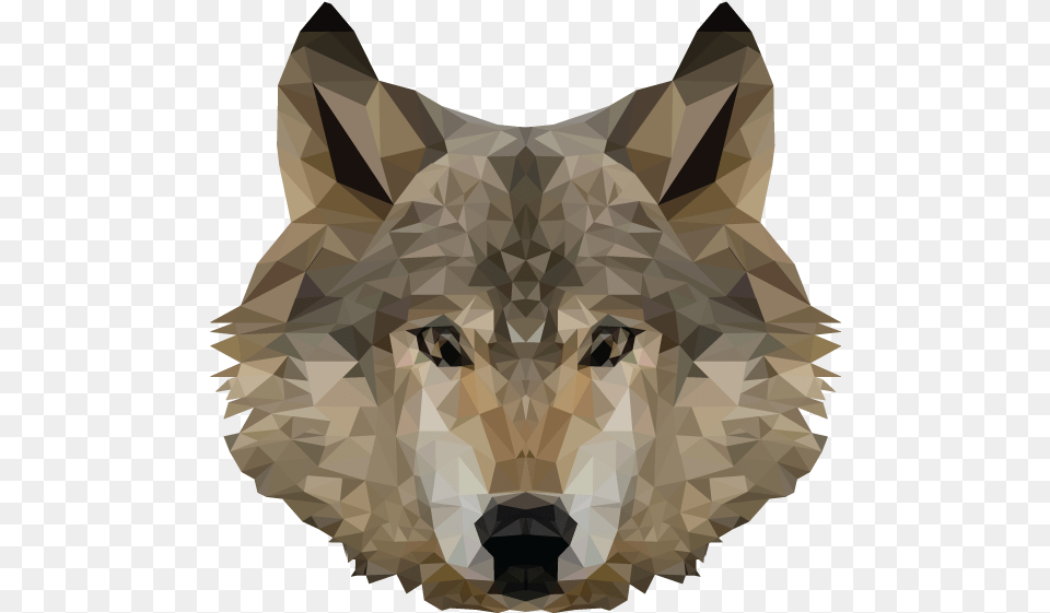 Low Poly Wolf Animal, Mammal, Person, Canine Free Transparent Png