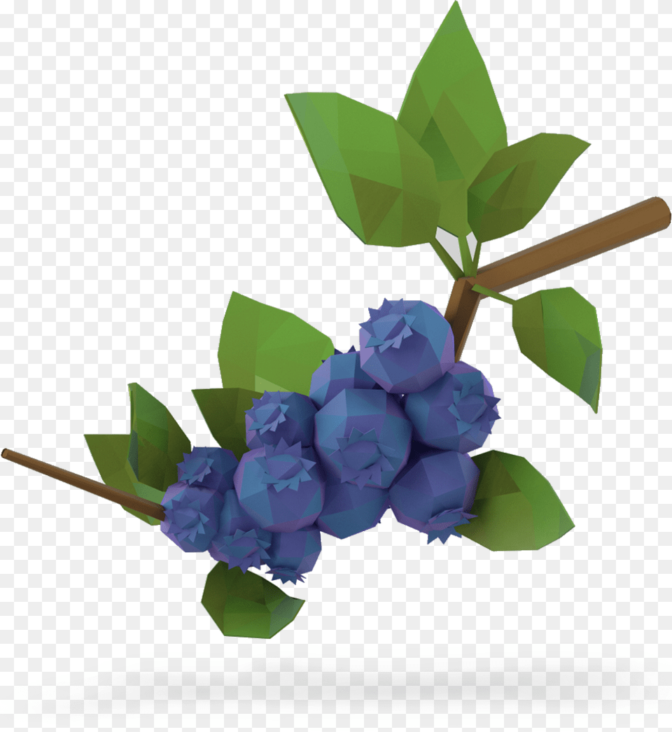 Lowbush Blueberries Blueberry Plants Transparent, Berry, Food, Fruit, Plant Png Image