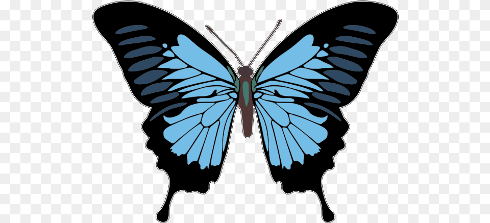 Lower Back Tattoo Butterfly Design Fairy T Shirt Butterfly Vector, Person, Animal, Insect, Invertebrate Free Transparent Png