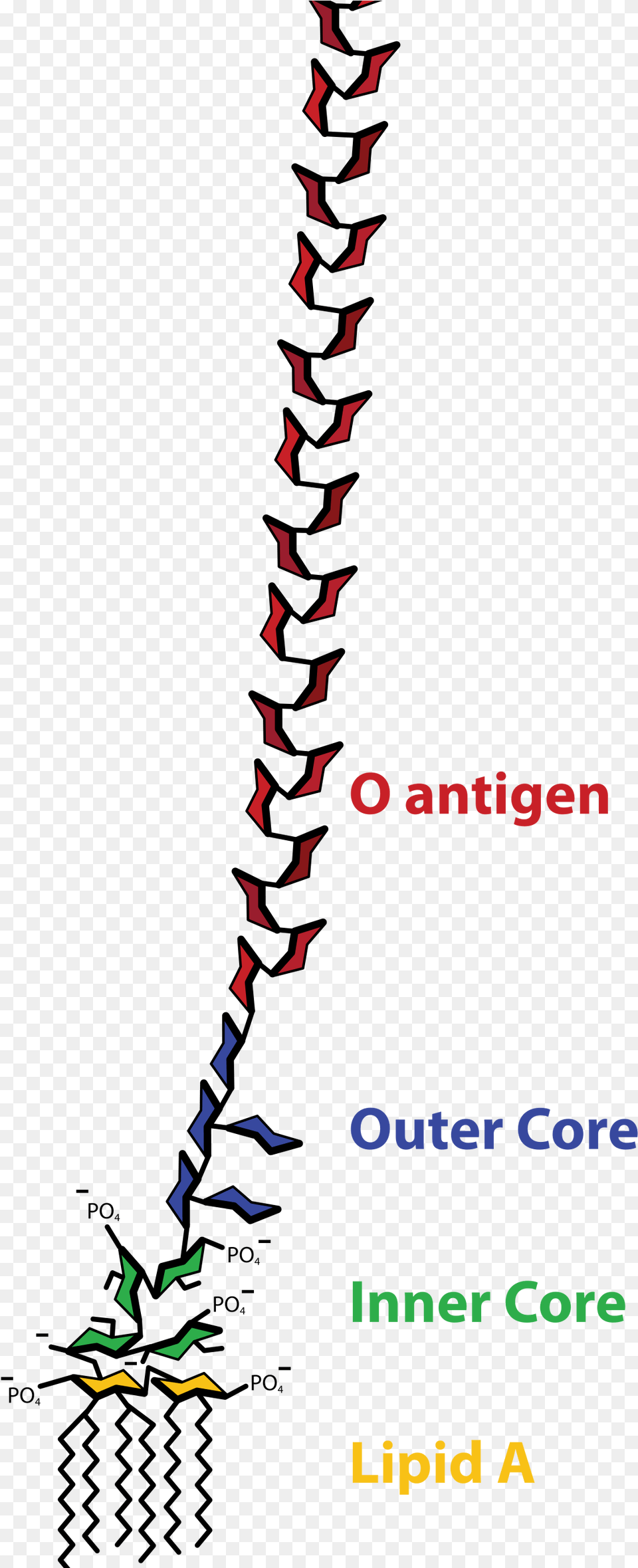 Lps Aufbau, Book, Publication, Person, Art Png Image