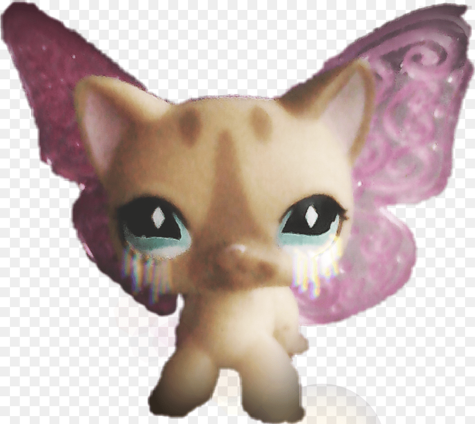 Lps Cat, Animal, Baby, Pet, Person Free Png