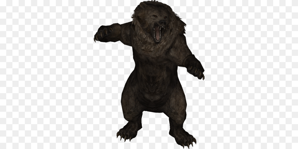 Ls Model Bear Skyrim Bear, Animal, Mammal, Wildlife, Electronics Png