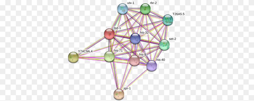 Lsd 1 Protein Circle, Sphere, Network, Disk Png Image