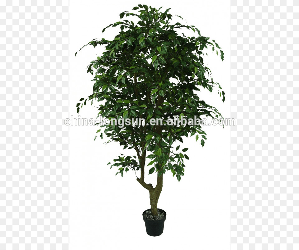 Lsd Hot Selling Artificial Banyan Tree Tree, Leaf, Plant, Potted Plant, Palm Tree Png Image