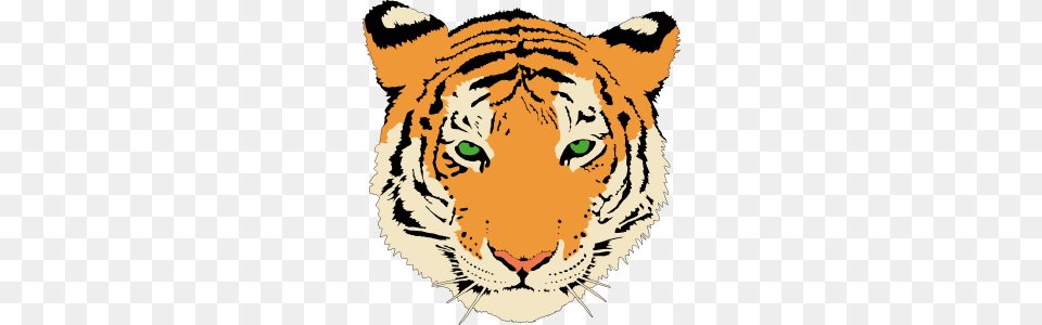 Lsu Tiger Clipart All About Clipart, Animal, Mammal, Wildlife, Face Free Transparent Png