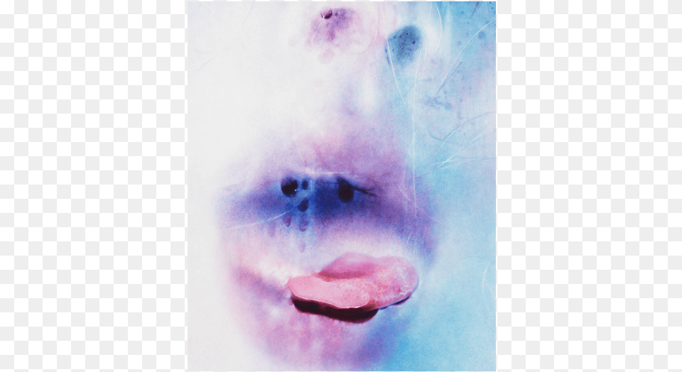 Lt Go Back Marilyn Minter, Body Part, Mouth, Person, Tongue Free Transparent Png