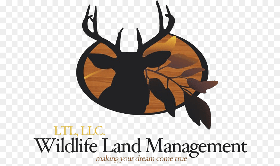 Ltl Wildlife Land Management Just Writers Publishing Company, Animal, Deer, Mammal, Elk Png Image