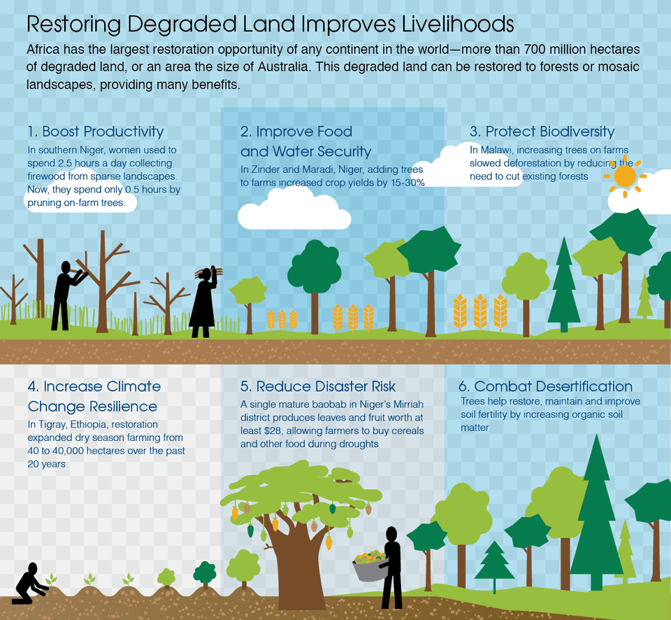 Ltpgtclick To Enlarge Restoration Of Degraded Land, Advertisement, Poster, Person, Plant Png