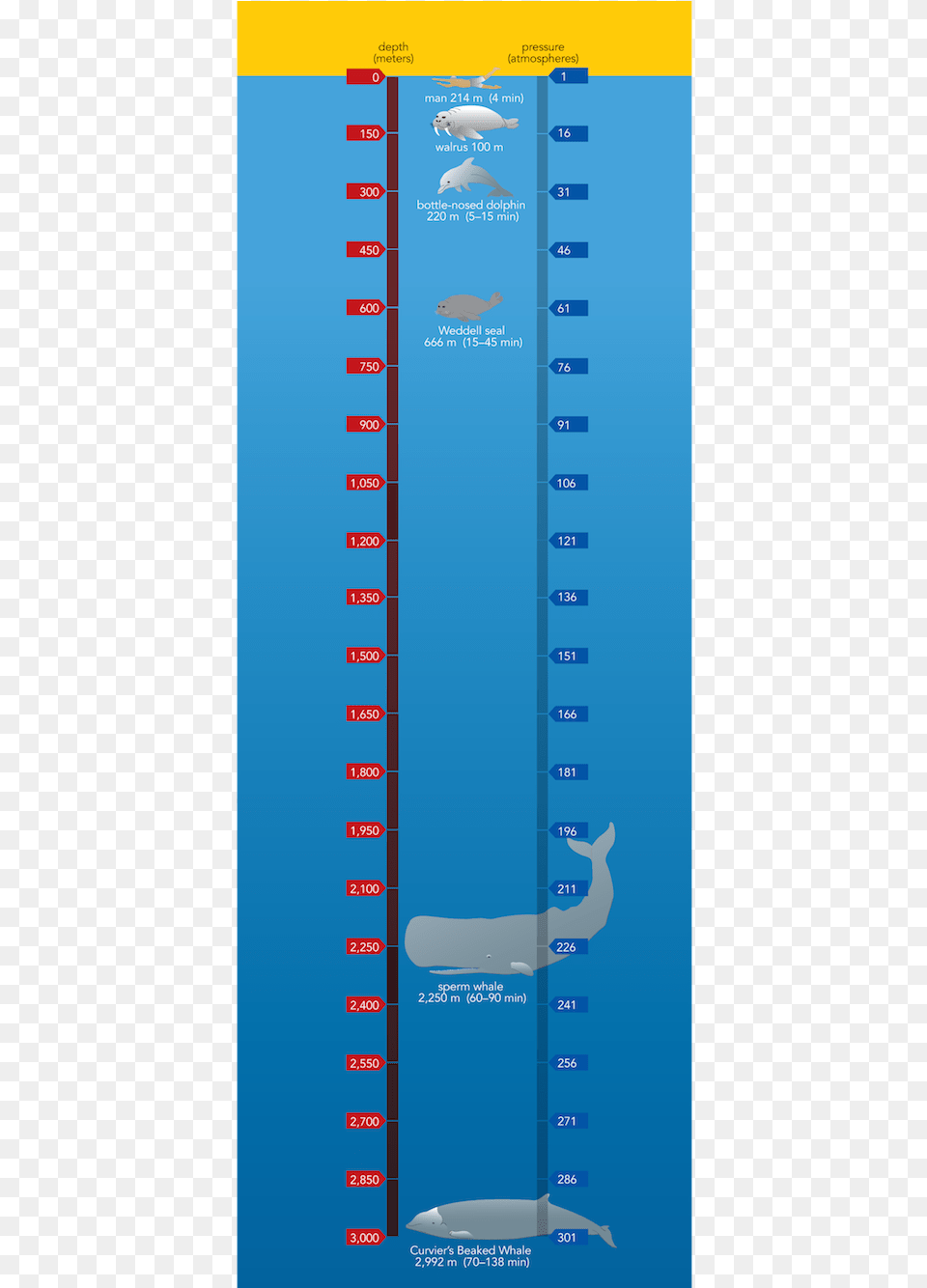 Ltpgtltstronggtsf Fig 9 3 Ltstronggt Diving Ruler, Chart, Plot, Water Png Image