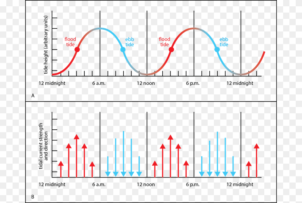 Ltstronggt Tide Height Diagram, Chart, Plot Free Transparent Png