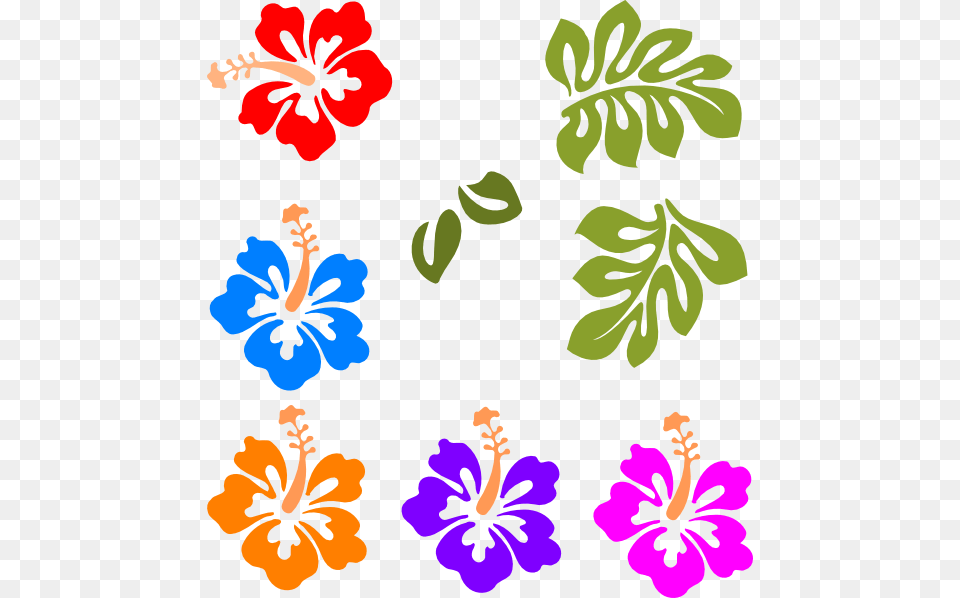 Luau Border Clipart Kid, Flower, Hibiscus, Plant, Herbal Png