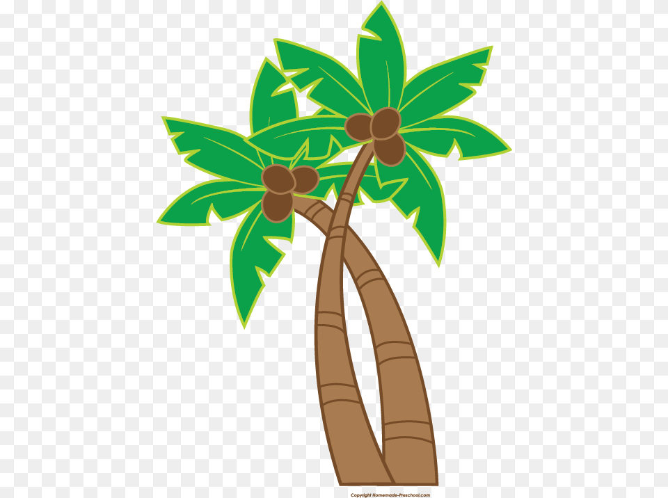 Luau Clip Art, Plant, Leaf, Palm Tree, Tree Free Png Download