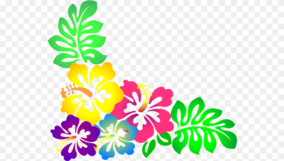 Luau Clipart 5 Station Clipart Hawaiian Flowers, Flower, Plant, Hibiscus, Pattern Free Transparent Png