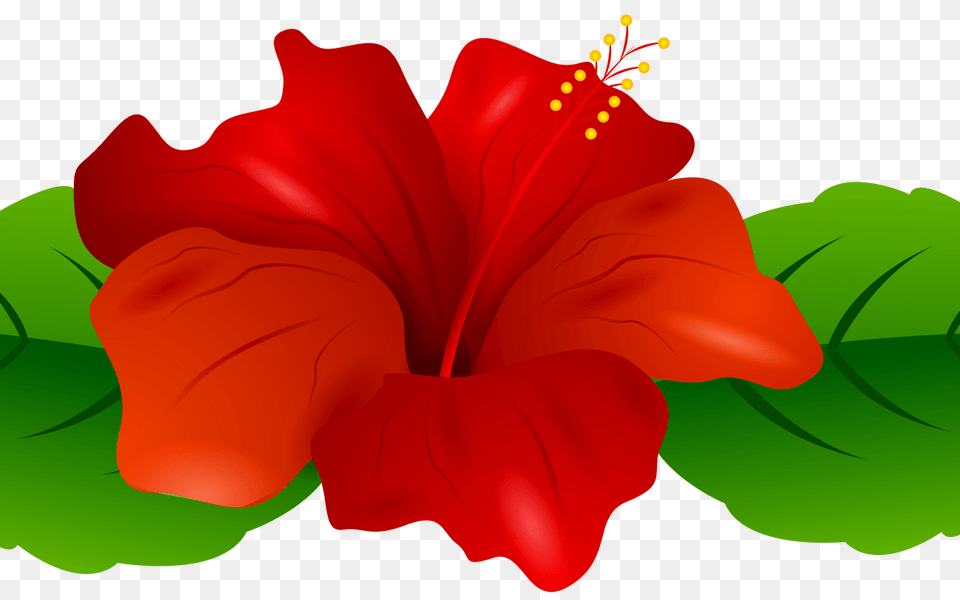 Luau Necklace Clip Art Hot Trending Now, Flower, Hibiscus, Plant Free Png Download