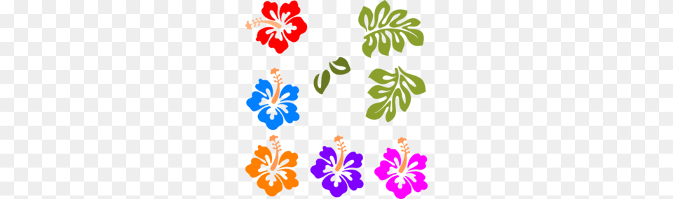 Luau Tiki Border Clipart, Plant, Flower, Geranium, Hibiscus Free Png