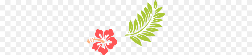 Luau Tiki Clip Art, Flower, Plant, Hibiscus, Herbal Png