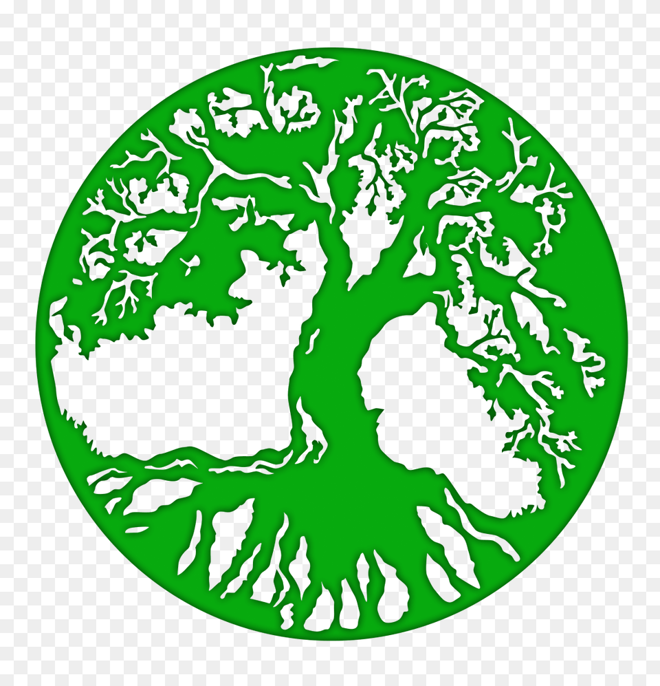 Lucas Tree Of Life, Green, Sphere, Ct Scan, Plate Free Png Download