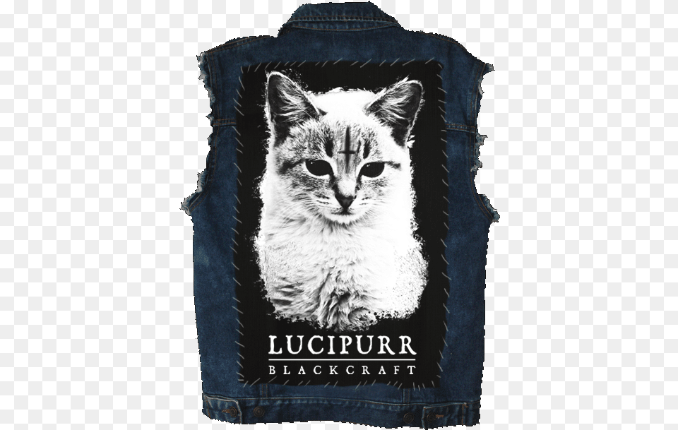 Lucipurr Backpatch Mock Website Black Craft Cult Cat, Clothing, Vest, Mammal, Animal Free Png