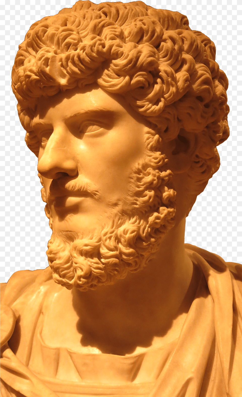 Lucius Verus Toronto Bust Free Png Download