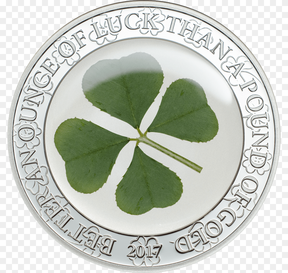 Lucky Clover, Leaf, Plant, Plate, Food Png Image