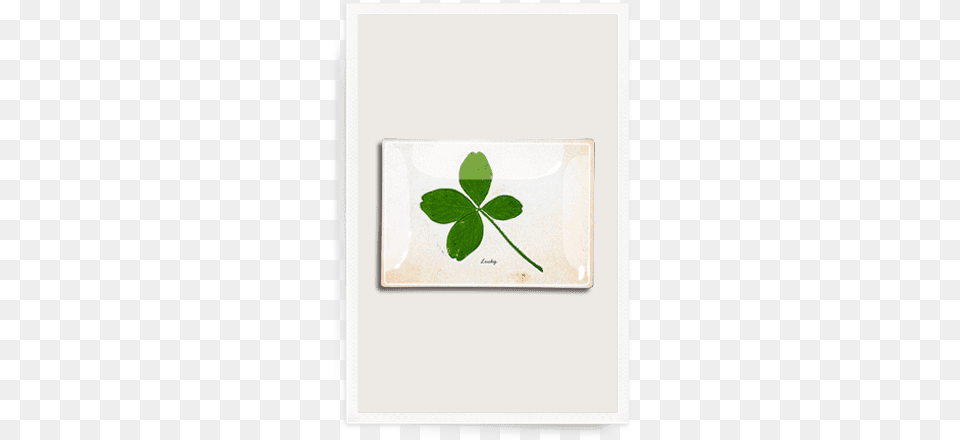 Lucky Clover Decoupage Glass Tray Glass, Herbal, Herbs, Leaf, Plant Png