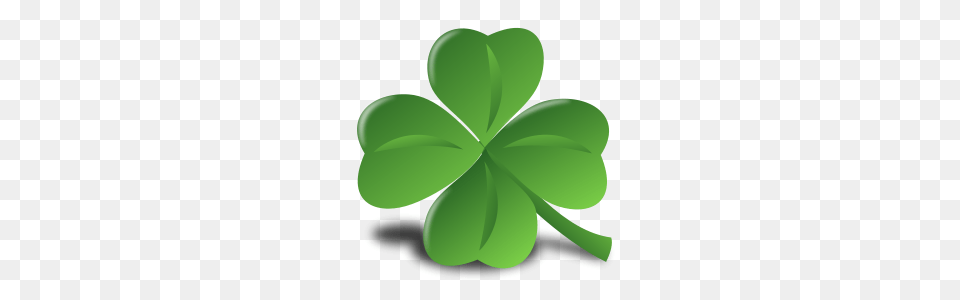 Lucky Day Shamrock Clipart Explore Pictures, Plant, Leaf, Green, Herbal Free Png