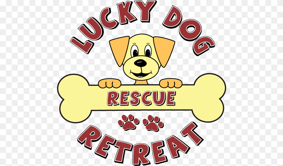 Lucky Dog Retreat Rescue, Animal, Bear, Mammal, Wildlife Free Transparent Png