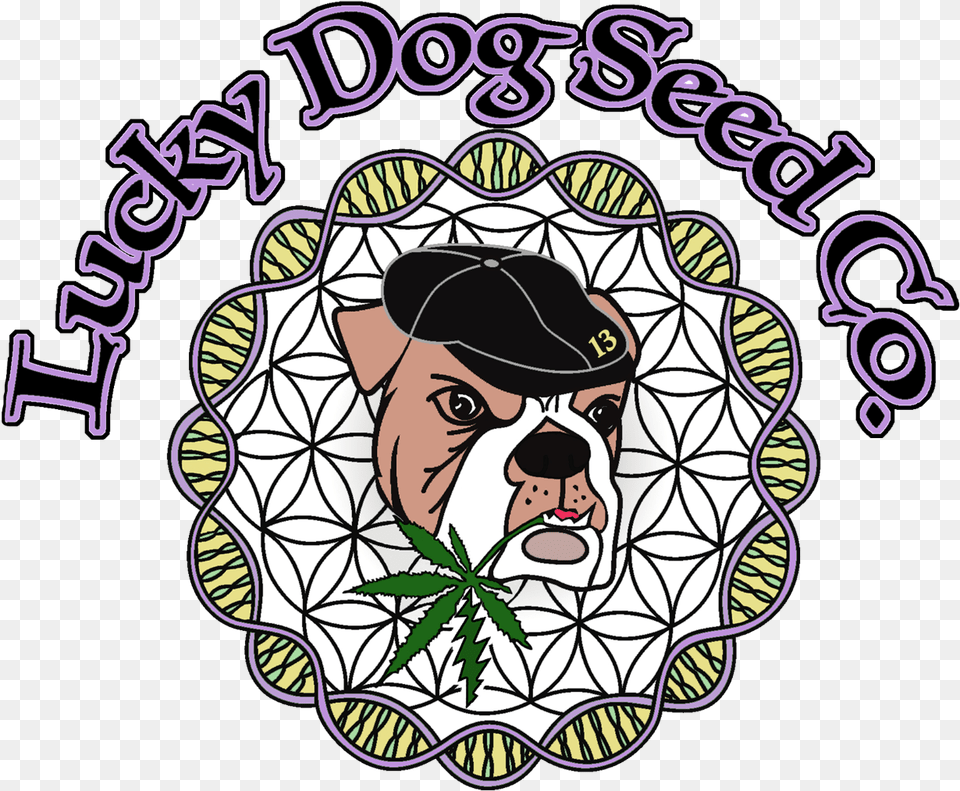 Lucky Dog Seed Co, Art, Baby, Person, Photography Free Transparent Png