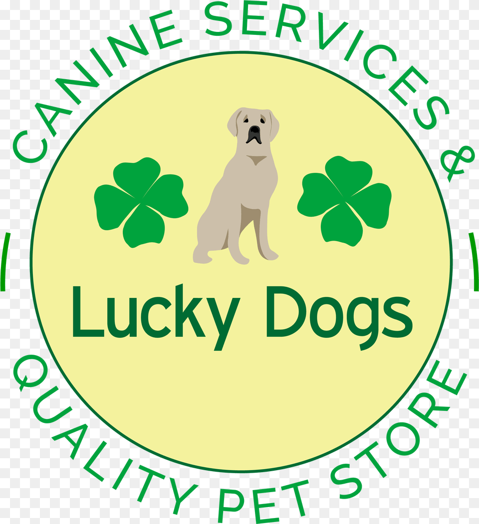 Lucky Dogs Riba, Green, Animal, Canine, Dog Free Transparent Png
