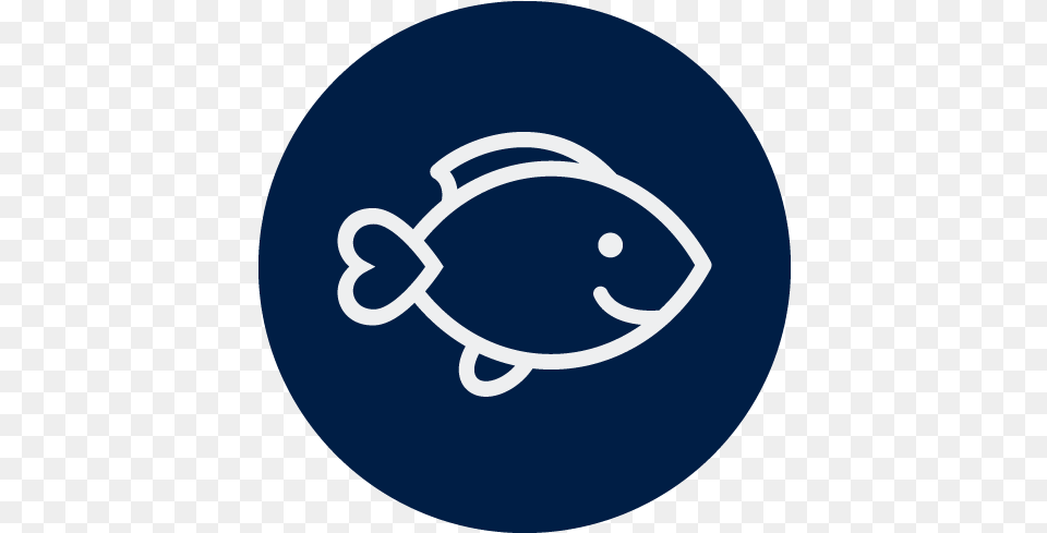 Lucky Iron Fish Deficiency Anemia Lucky Iron Fish Logo Png