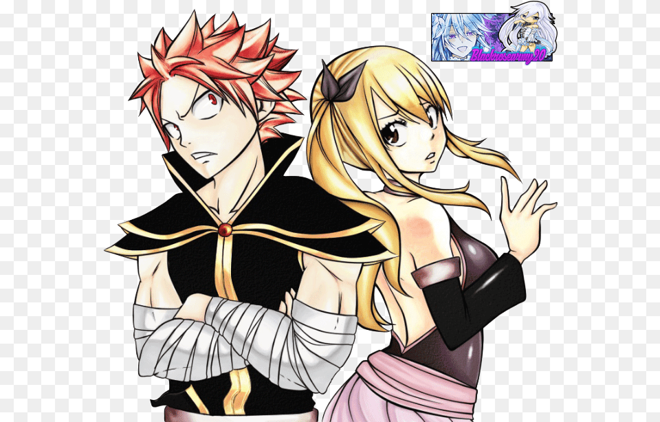 Lucy And Natsu Art, Publication, Book, Comics, Manga Free Transparent Png