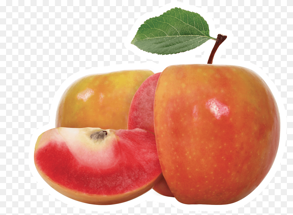 Lucy Glo Apple, Food, Fruit, Plant, Produce Free Transparent Png