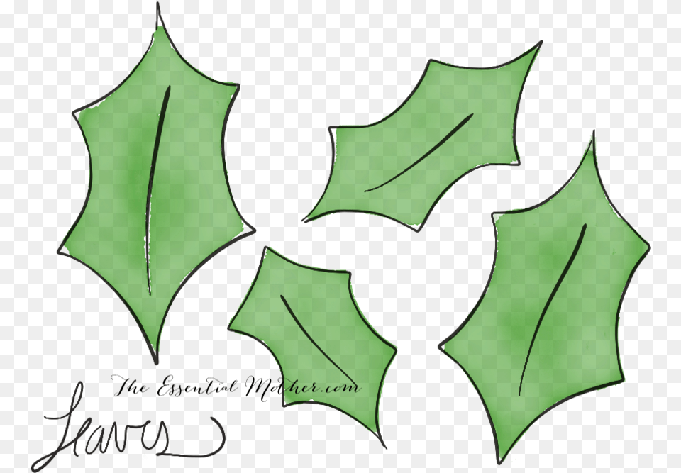 Lucy Leaves Umbrella, Leaf, Plant, Symbol, Person Free Transparent Png