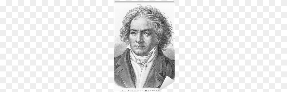 Ludwig Van Beethoven, Art, Drawing, Adult, Photography Free Transparent Png