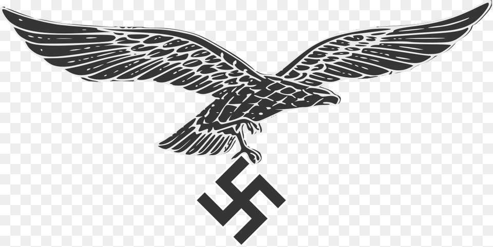 Luftwaffe Eagle, Animal, Bird, Flying, Symbol Free Png